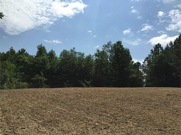 2nd image of 590 Falling Cliff Dr