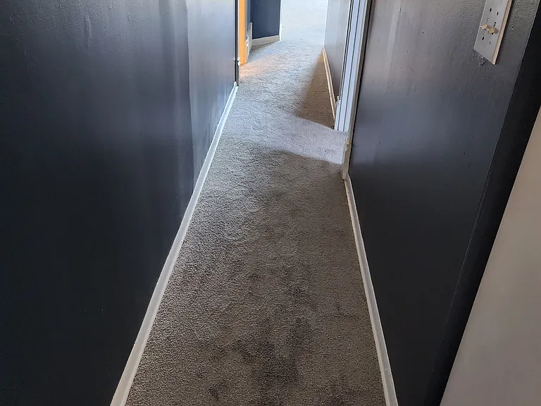 404 S Everett St — Photo 4