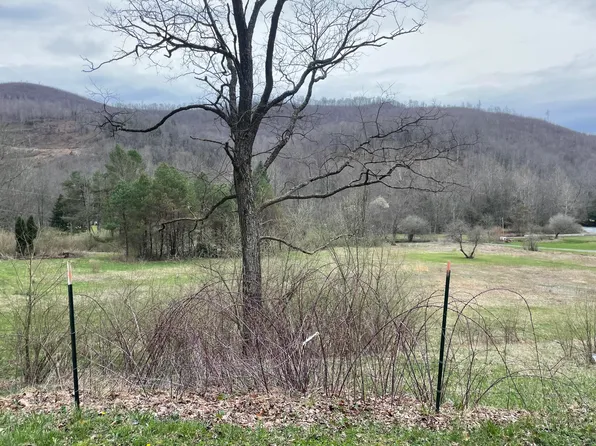 3924 Gauley River Rd, Webster Springs, WV 26288