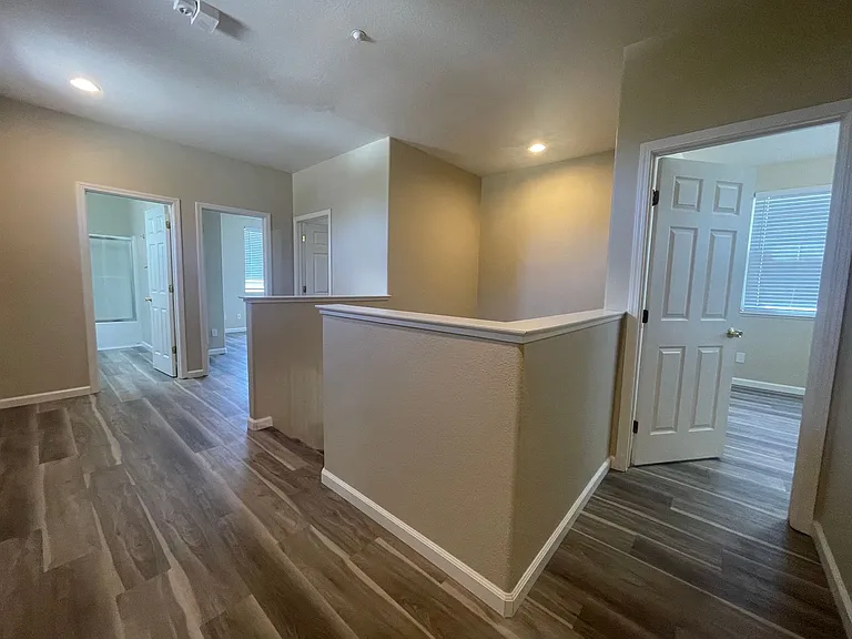836 Shasta Daisy Dr — Photo 24