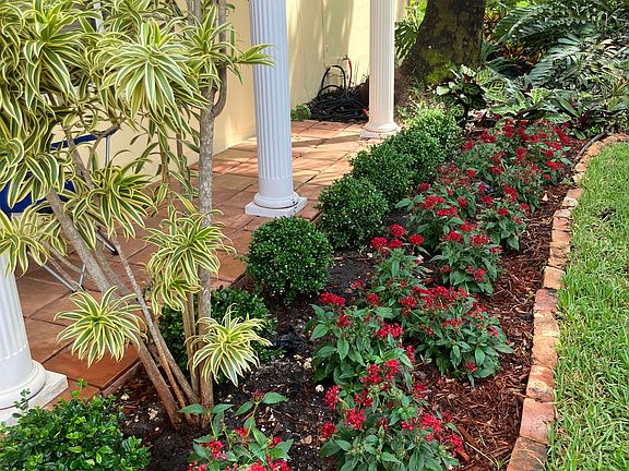 New landscaping and lawn