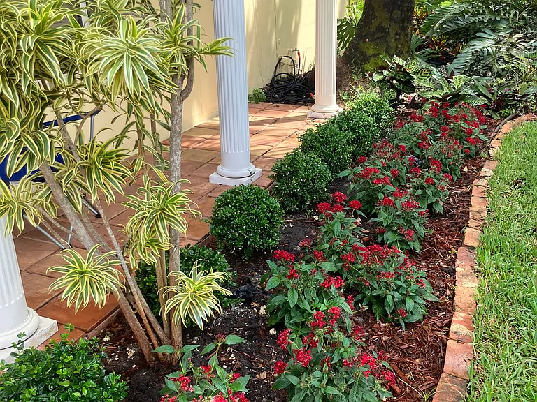 New landscaping and lawn