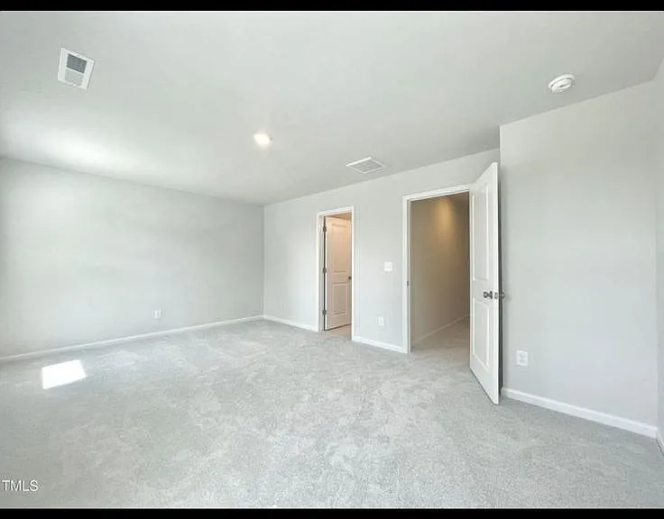 419 Carolina Springs Blvd — Photo 18