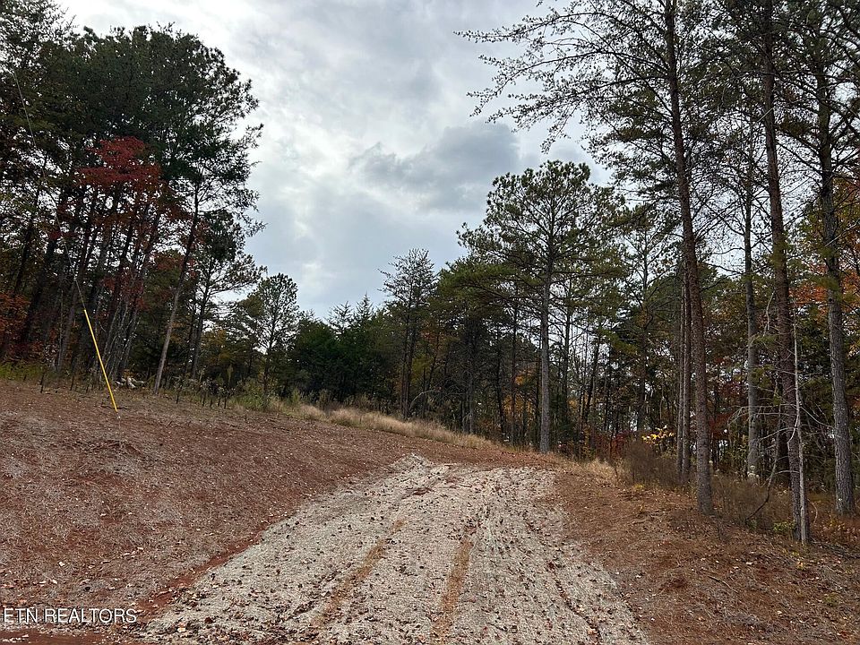 2nd image of 489 Cody Ln #4