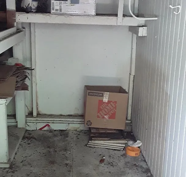 4120 N Central Ave — Photo 14