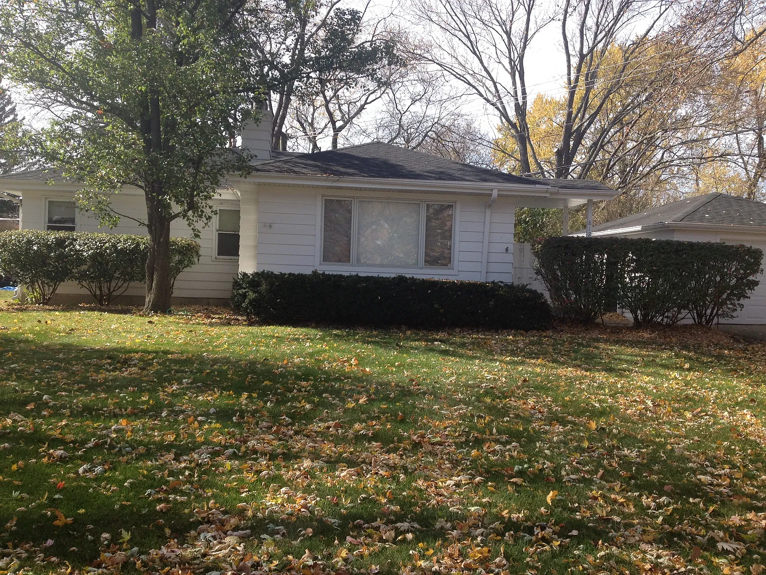 812 Lyford Ln photo 1