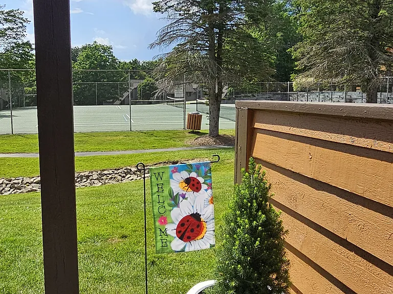 2507 Swiss Mountain Dr #2507 — Photo 22