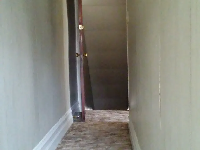 310 Ridge St — Photo 4