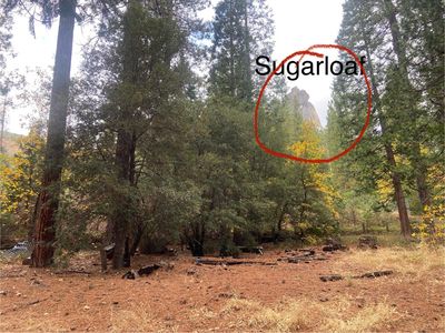 Pickwick, Kyburz, CA, 95720