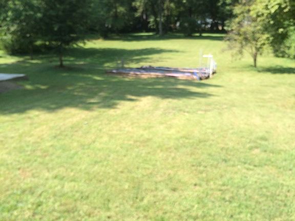 Back yard