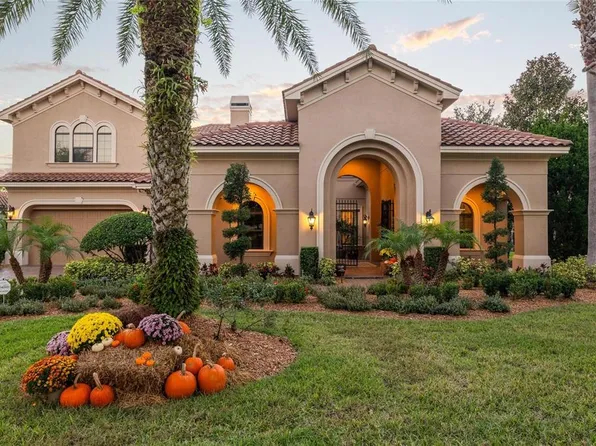 1208 Merry Water Dr, Lutz, FL 33548