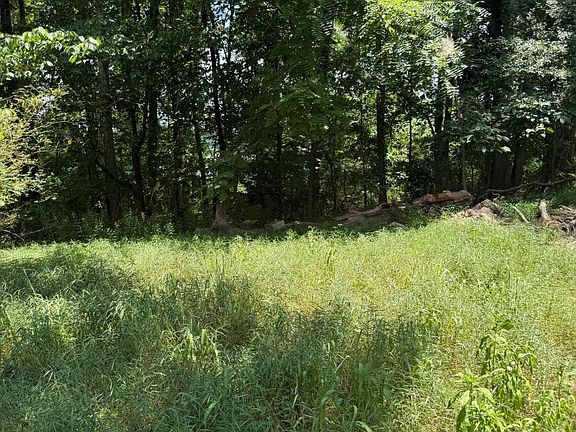 5th image of 217 Bagwell Garland Rd