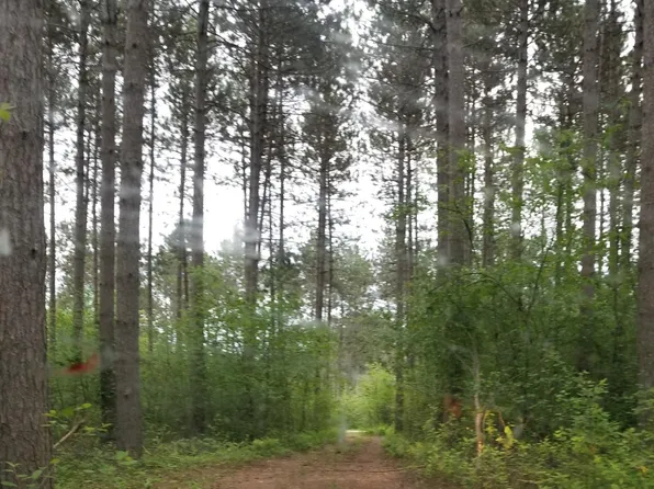 Lt6-7 TOWERING PINES LANE, Rhinelander, WI 54501