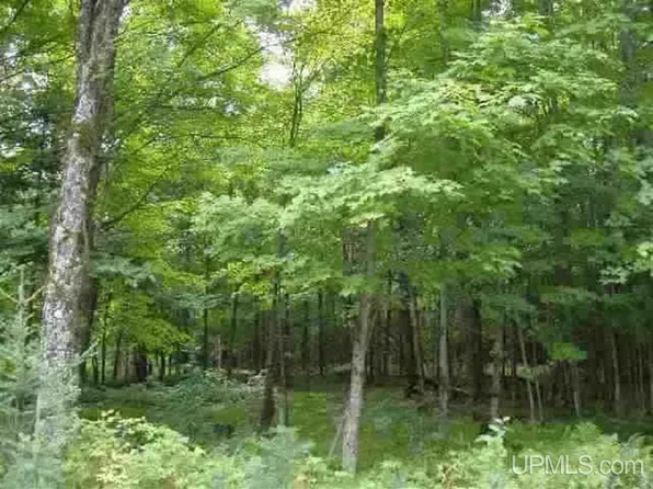 Twin Rivers Rd #Pcl-5, Fence, WI 54120