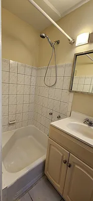 Rented by ONE Manhattan Real Estate | media 5