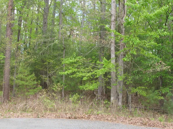 0 Spring St Lot 40, Unionville, VA 22567
