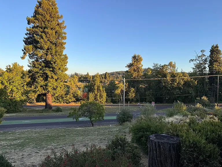 601 Edgemont Way — Photo 10