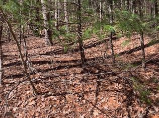 2188 Highway 2, Blue Ridge, GA 30513