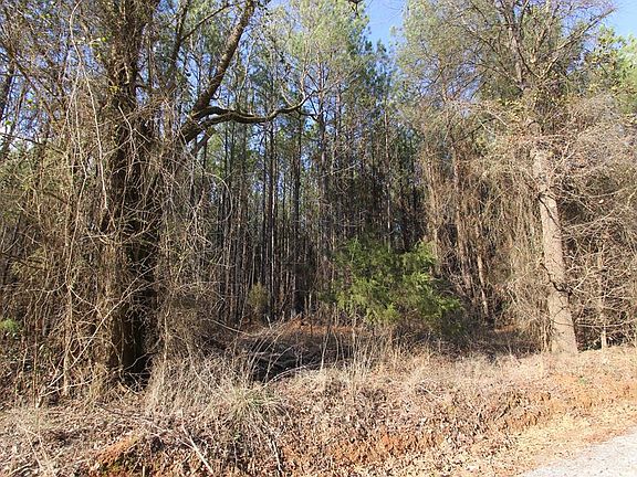 5th image of 0 Smith Mill Road