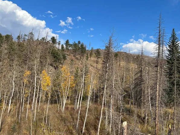 11 Monument Gulch Way, Bellvue, CO 80512