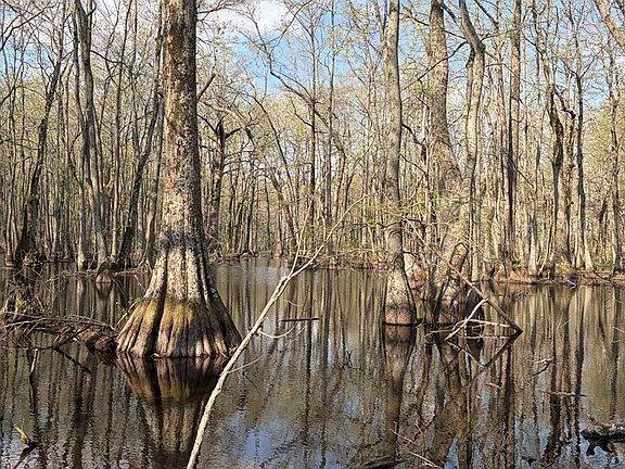 3rd image of 0 County Rd #420