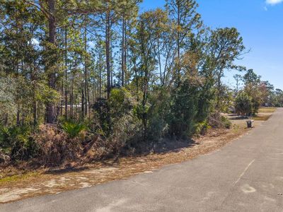 0 Kings Creek Ct, Steinhatchee, FL, 32359