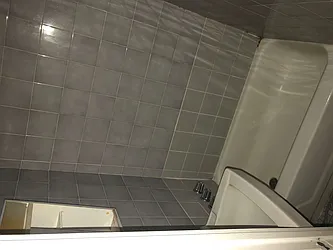 Rented by Eric Goodman Realty Corp