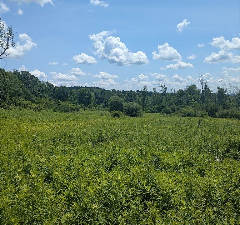 1st image of 0 Sulphur Springs Rd Lot 4