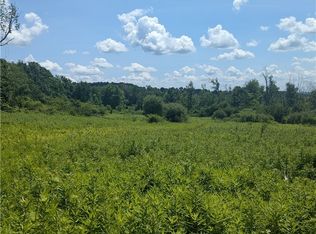 0 Sulphur Springs Rd LOT 4, Cold Brook, NY 13324