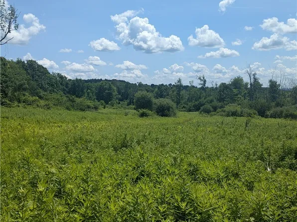 0 Sulphur Springs Rd Lot 4, Cold Brook, NY 13324