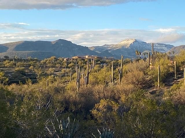 Backyard Mountain Views