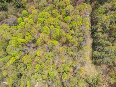 299 Fox Mew, Lake Ariel, PA, 18436