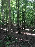 1st image of Ramblewood Trl