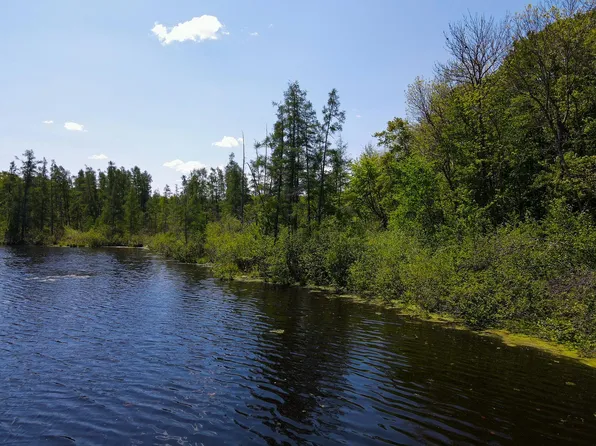 N2174 Pondell Ln, Bruce, WI 54819