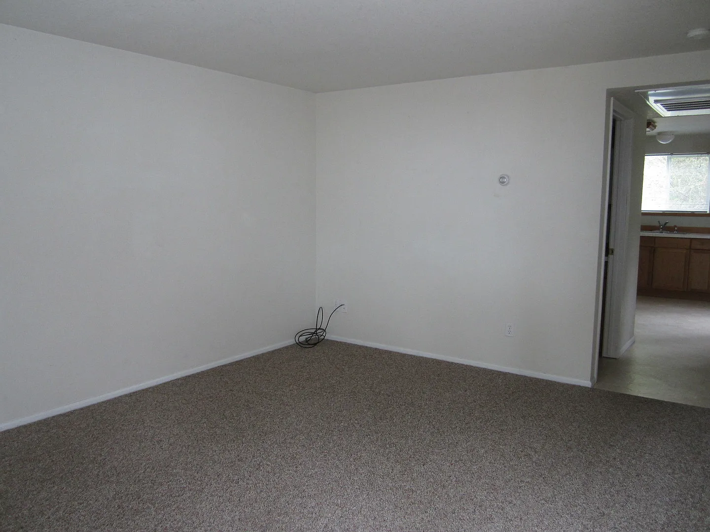 will01 — Photo 2