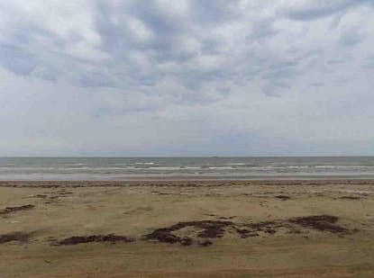 3rd image of 4229 Sand Crab Ln