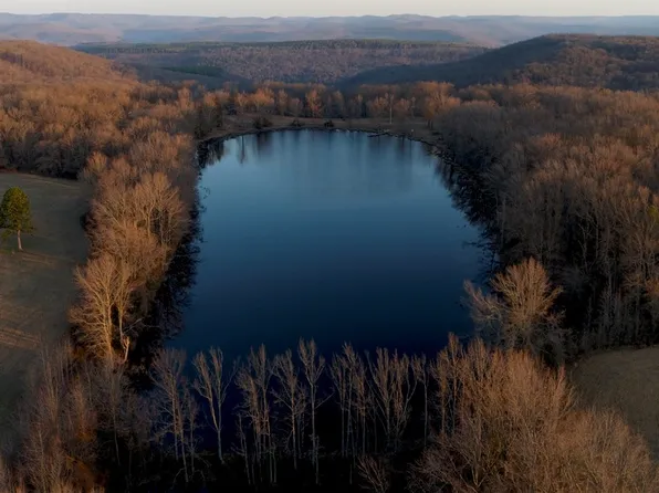 0 County Road 4160, Oark, AR 72852