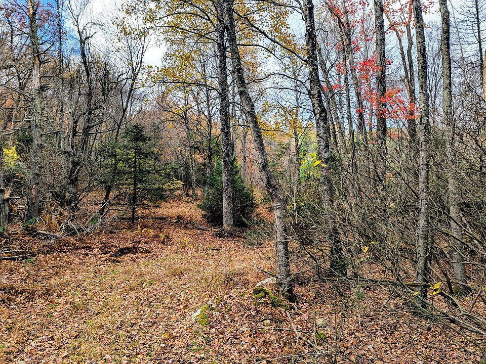 46th image of this home