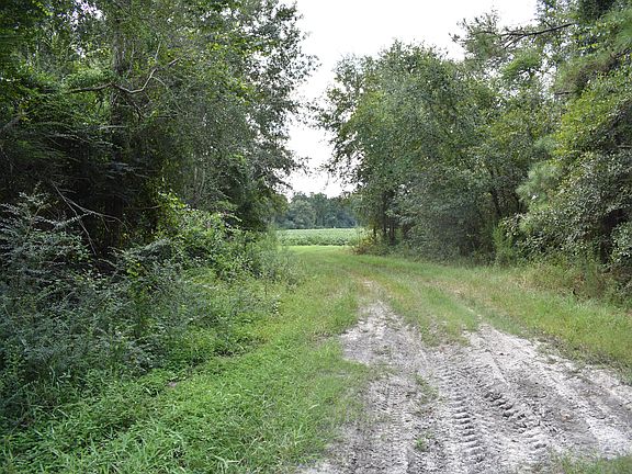 Access Lane to North Field