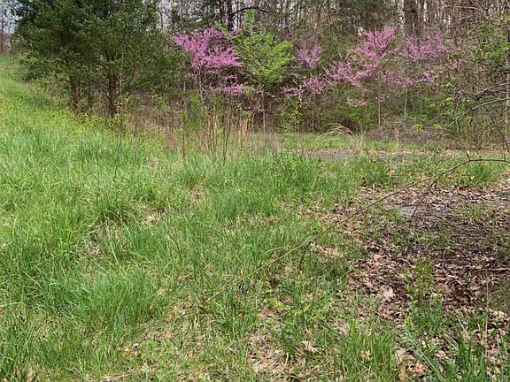 2nd image of 0 Herrin Dr