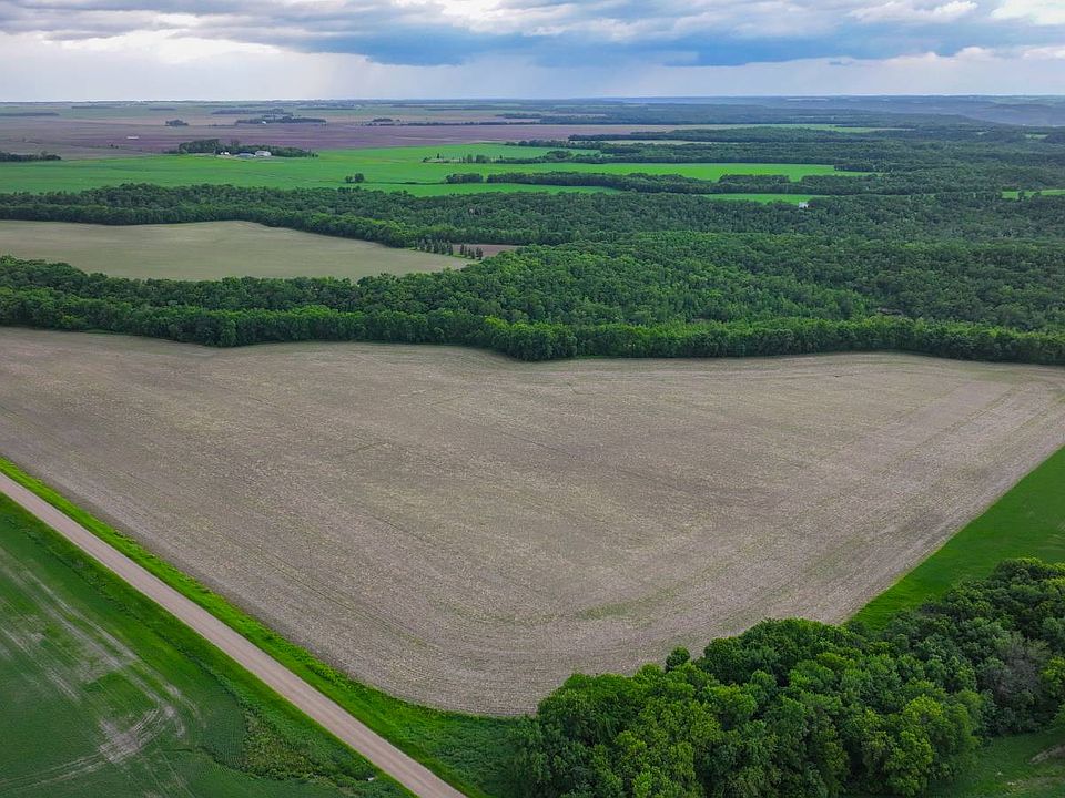 2nd image of Land Auction Section 8 162 #57