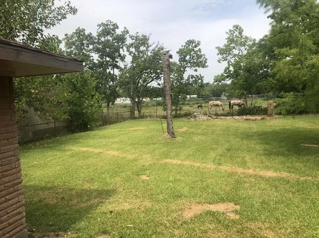 3 bed, 1.0 bath, 1148 sqft, $1,795 — Photo 2