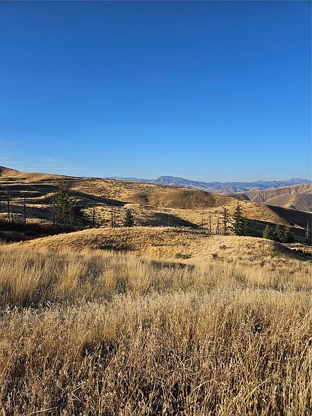 3rd image of 8 Blue Grade Road