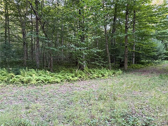 2nd image of 1 River Rd