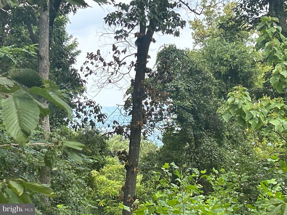 2nd image of Blue Ridge Mtn