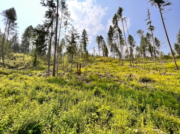 Vista Dr, Republic, WA 99166