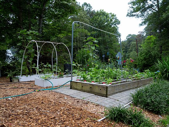 Garden area