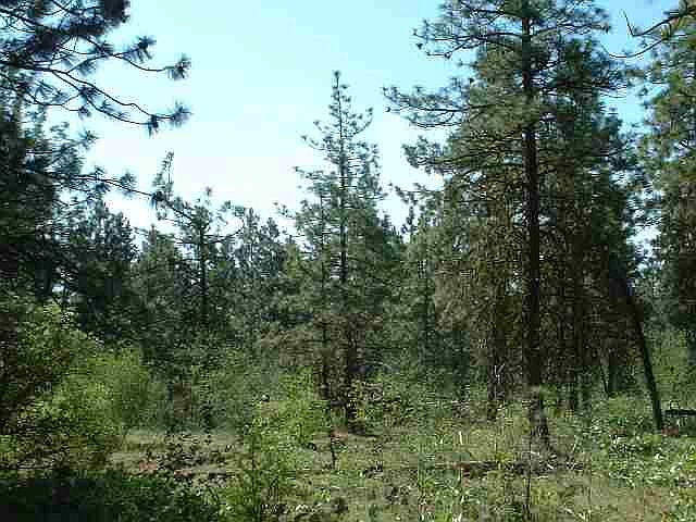 2nd image of 3800 W 27th Ave