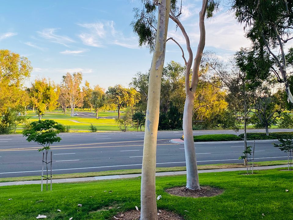 Breathtaking views of nearby William Mason Regional Park from balcony