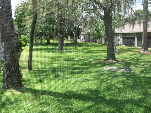 5th image of 708 Drywood Ave